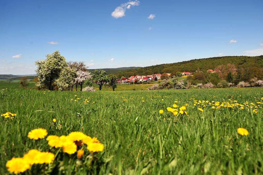 Landhotel Zur Gruenen Kutte Bernshausen Екстер'єр фото