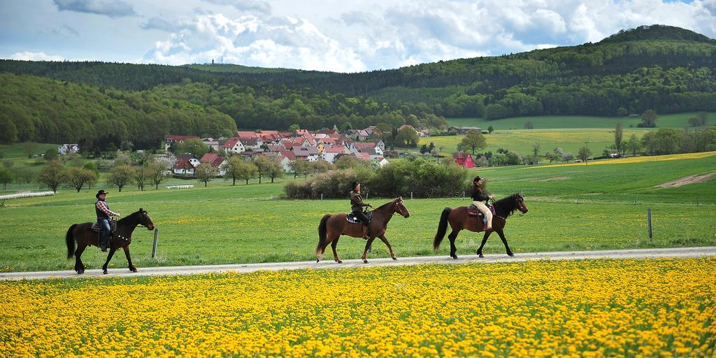 Landhotel Zur Gruenen Kutte Bernshausen Екстер'єр фото